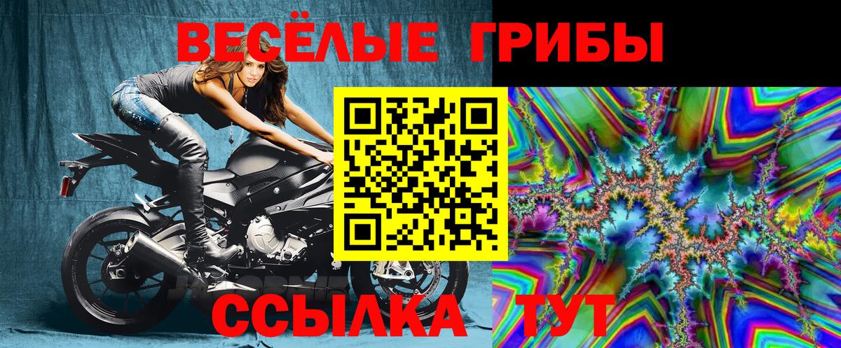 Балашиха  Галлюциногенные грибы ЛСД  Вход с VPN 